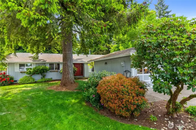 Welcome home to this classic rambler on Olympia's desirable SE side