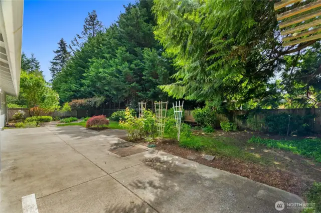 The rear yard a great combination of trees for privacy, and sun for your gardening.