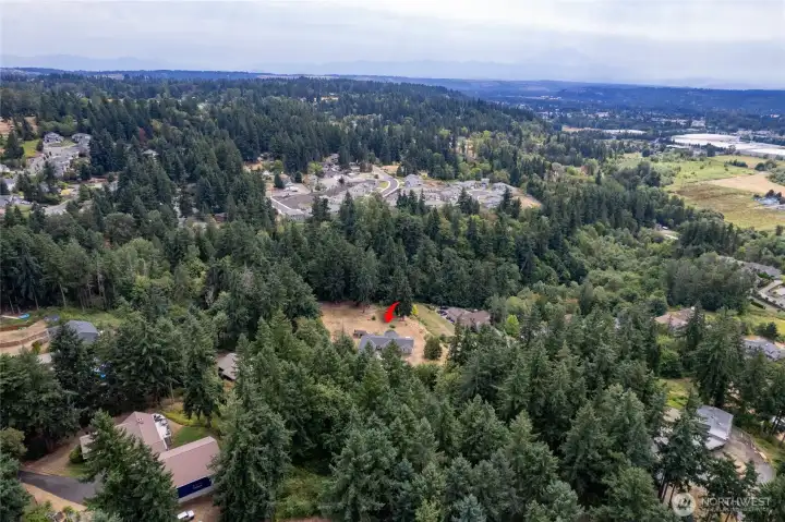 Your private homestead is surrounded by trees
