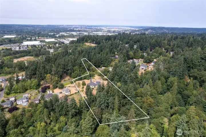 The forested part of the lot goes all the way down and includes half of the creek below