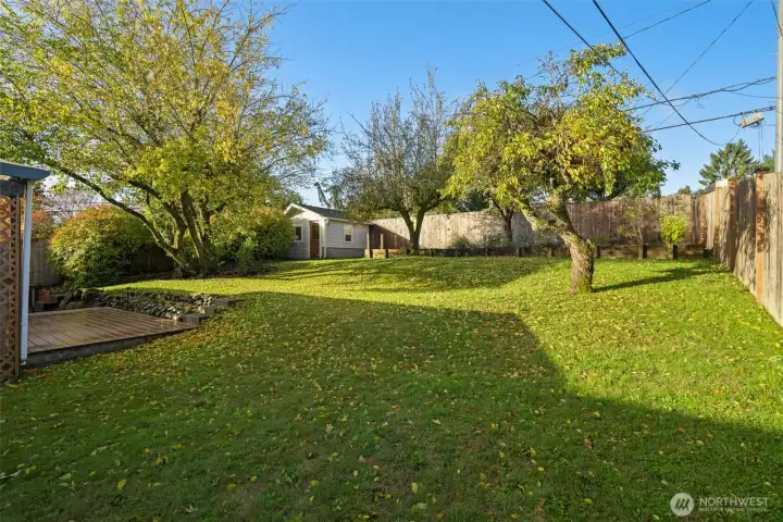 Huge backyard with space to play, garden, relax