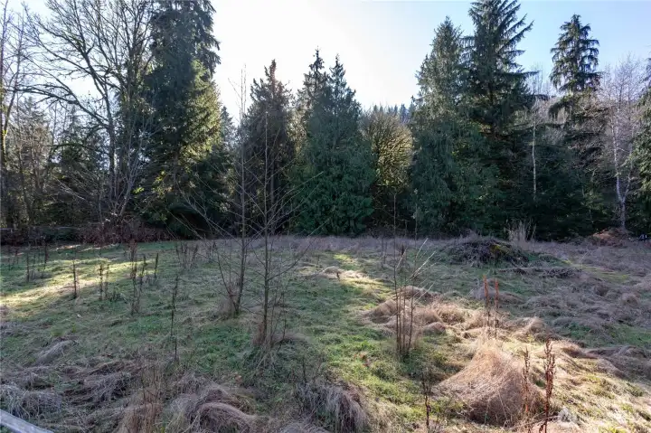 Plenty of open space