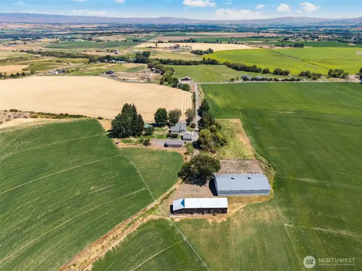 Front 31 acres captured in 2025, showcasing a thriving wheat crop and the productive capability of the land. The remaining acreage was planted in timothy hay, highlighting the versatility, fertile soils, and strong agricultural potential ideal for continued farming, hay production, or investment-grade use.