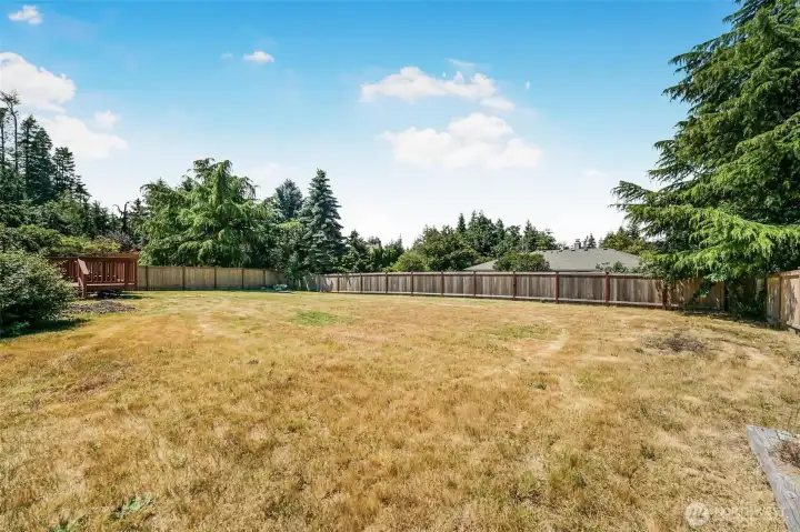 A big, beautiful and fully fenced backyard.