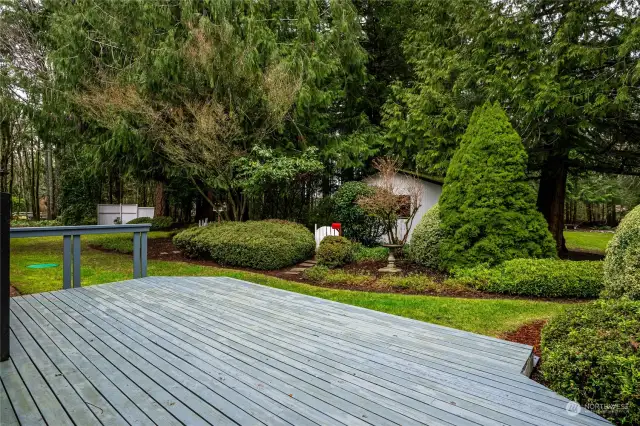 Back deck off the Family Room... Shop beyond the shrubbery ahead and playfield to the right...