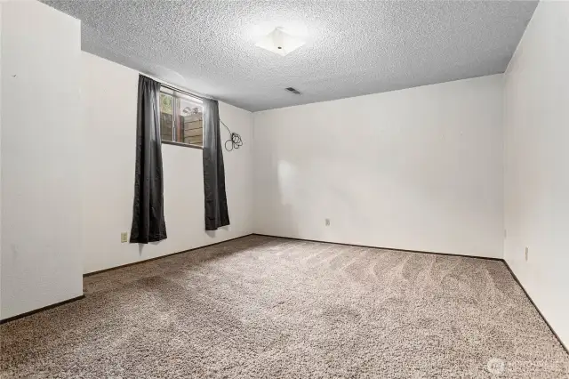 2nd basement bedroom