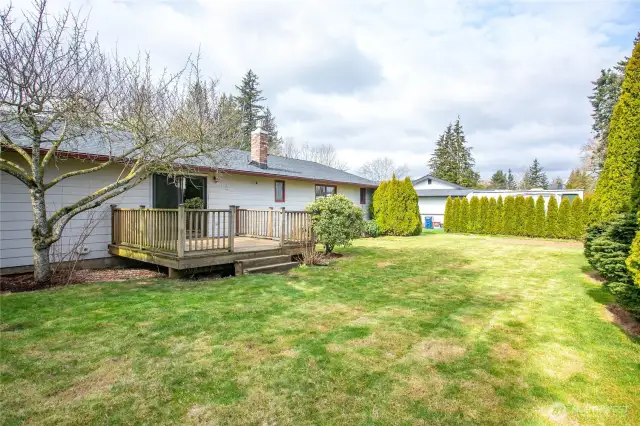 Large deck off family room & semi-private spacious back yard