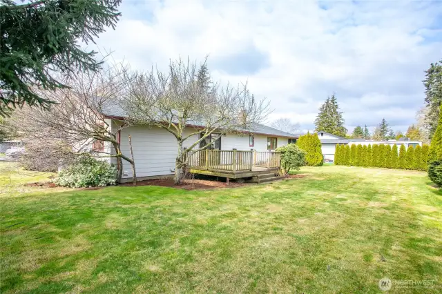 Partially fenced & privacy hedged