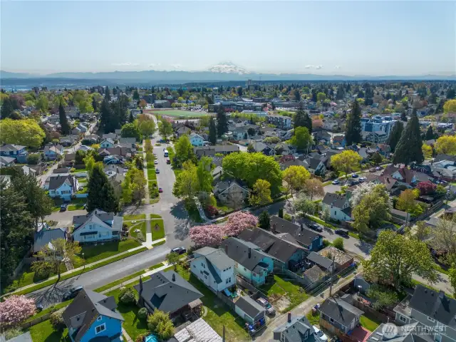 Aerial Neighborhood Photo with Rainer.