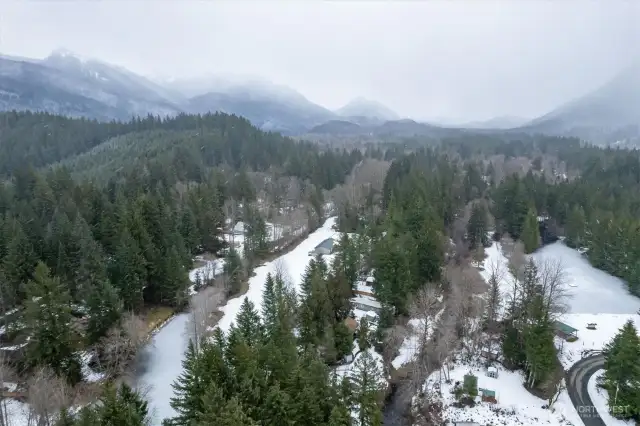 A final view of the beauty of the evergreens and the mountains around.
