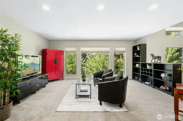 Bonus/Loft Room