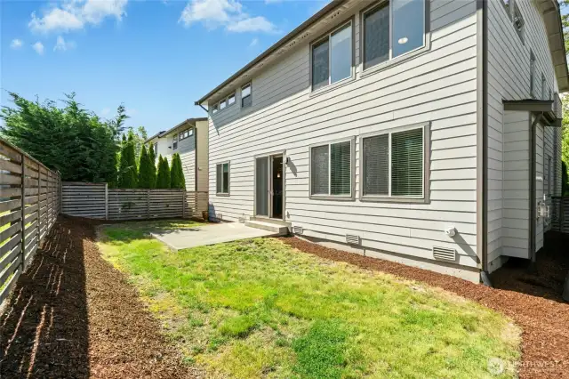 Low Maintenance Yard