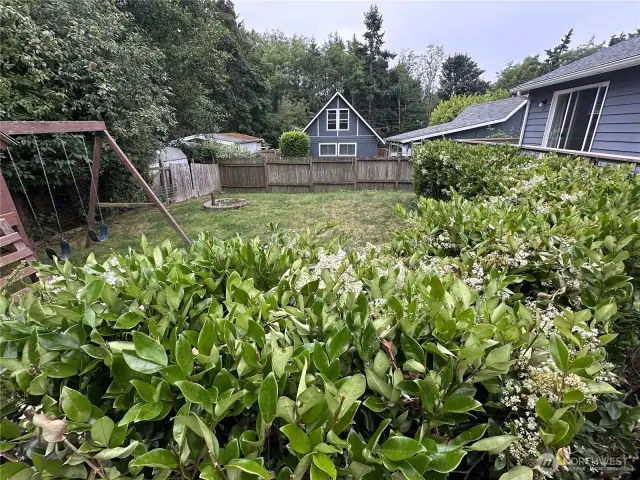 The enclosed back garden area