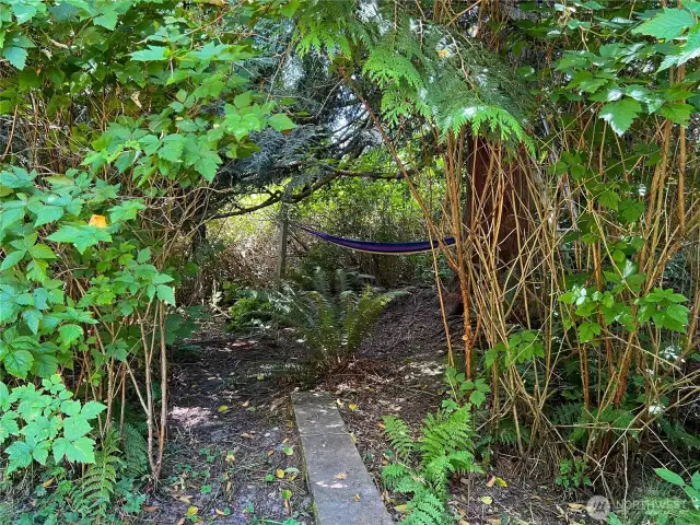 "Secret Garden"