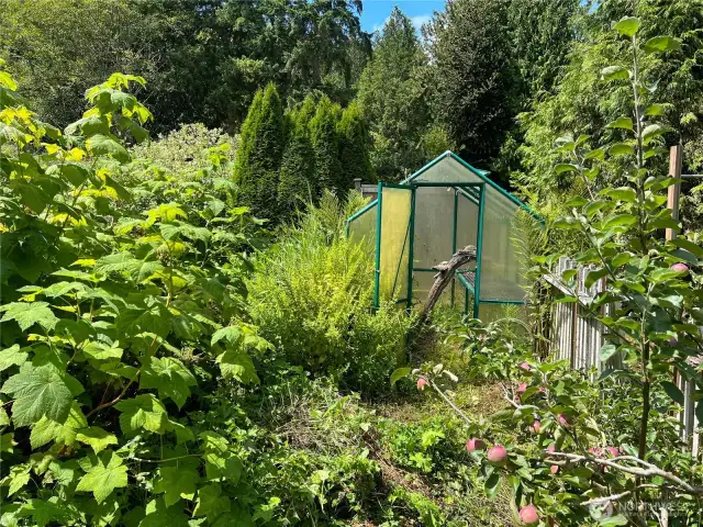 Greenhouse.