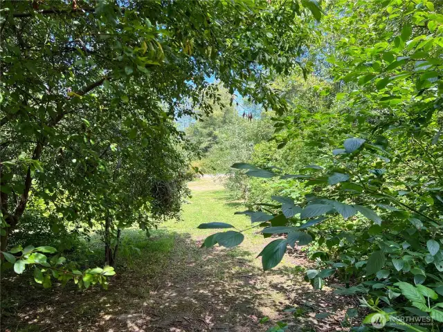View from the southern shady spot! (double secret garden!)