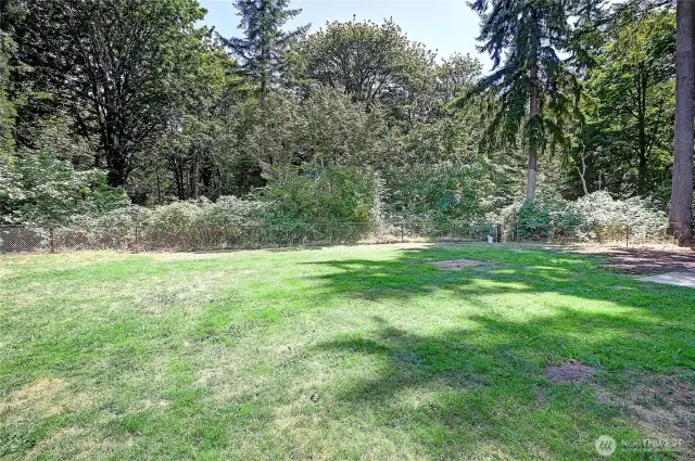 Large, fully fenced backyard.