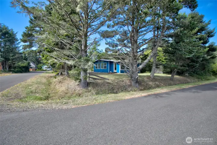 Large corner lot with mature trees