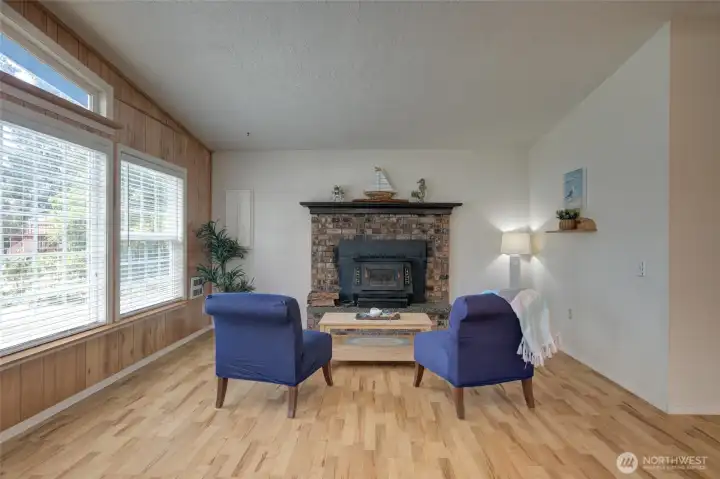 Cozy wood burning fireplace insert