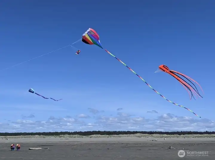 Let's go fly a kite. You'll never run out of things to do in Ocean Shores!