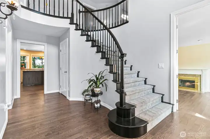 Spiral Staircase