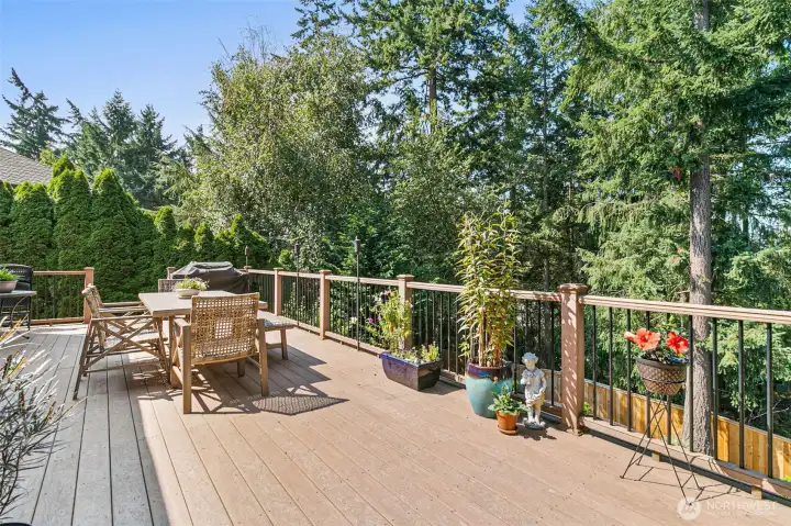 Extended Deck