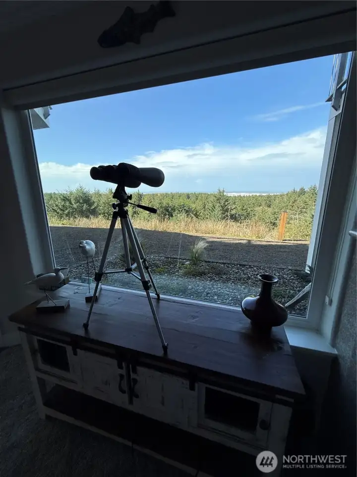 Binoculars for whale and boat viewing