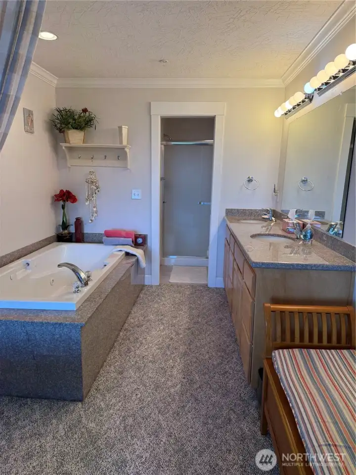 Bathroom in primary