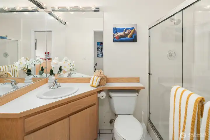 Lower level 3/4 bath