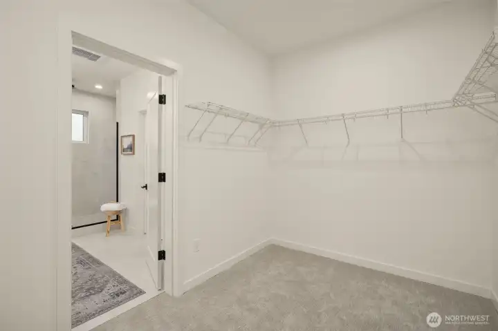 MASSIVE walk-in closet.
