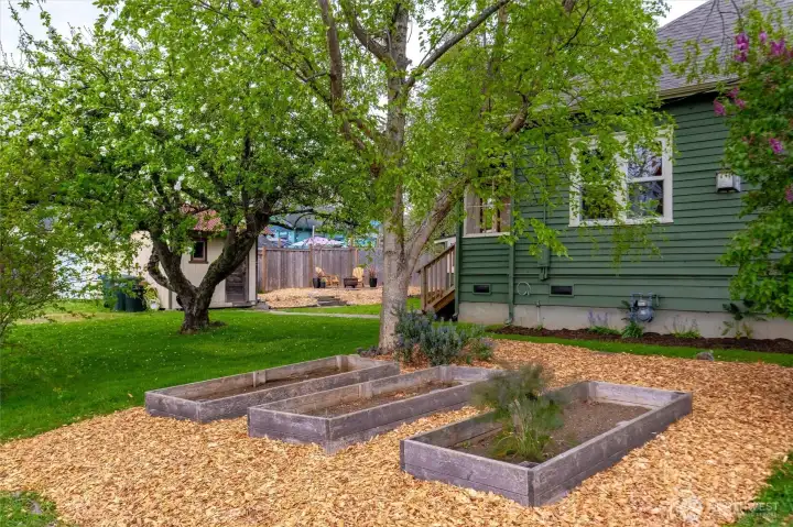 Enjoy raised garden beds with great sun!