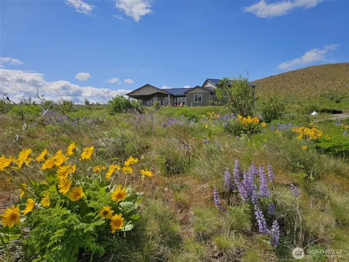 Welcome to "Deer Valley" in the heart of Kittitas County. Spectacular views, close to Yakima River for Blue Ribbon Fly fishing, about 10 - 15 minutes to downtown Ellensburg or Cle Elum and I-90. With over 3 and a half acres to roam, this home will "wow" you from the moment you step inside. Every window has a view. French doors lead to large, covered patio, perfect for year around outdoor living.