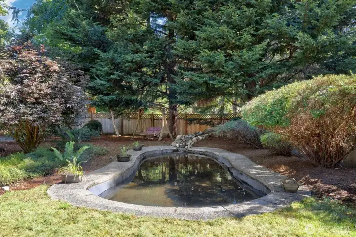 Backyard pond