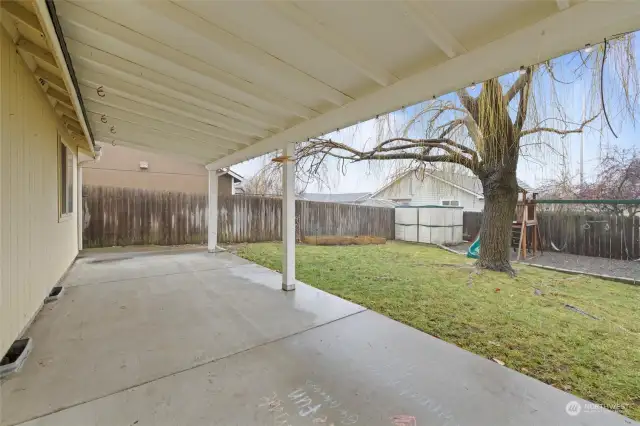 Backyard - Covered Patio