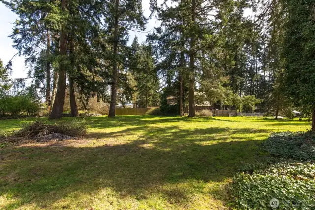 Backyard Area