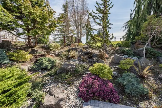 Professional Landscape