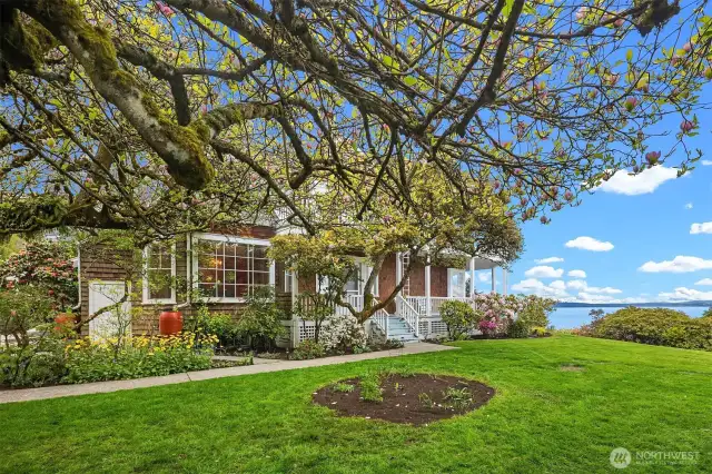 Established shy 1/2 plot. Some trees and shrubs are as mature as the home itself.