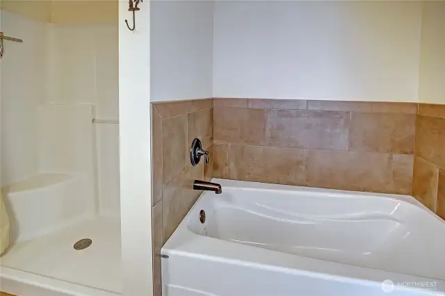 Soaking Tub and Shower~
