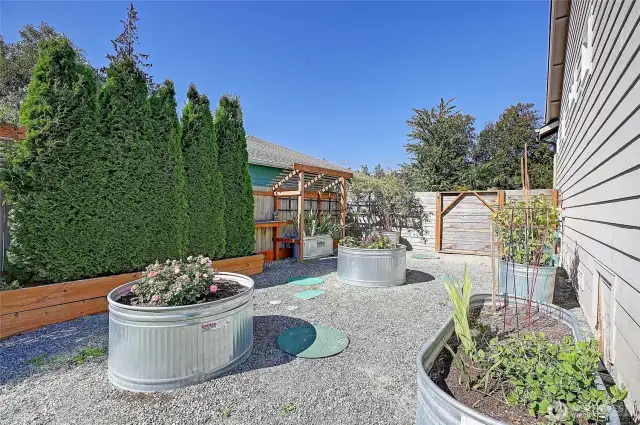 Established Garden w/ Water and SUNSHINE~