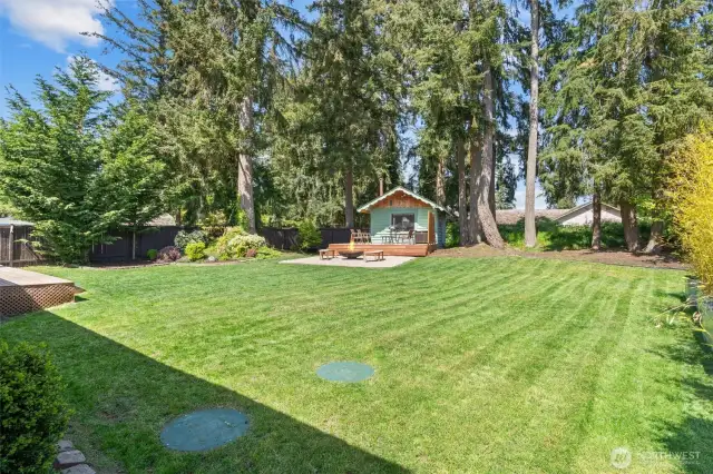 Oh my gosh! Look at that backyard!!!