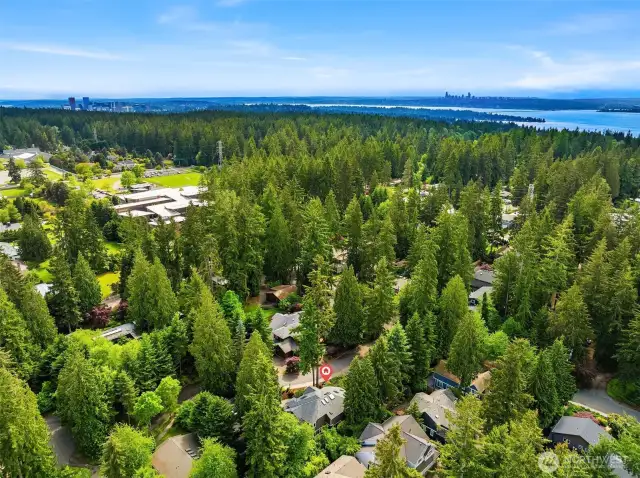 Stroll to Kirkland pedestrian bridge, to Taylor Fields park (with 30+ acres of trails), stores, and ideally located ~ just minutes to Downtown Kirkland, Bellevue, Microsoft, & more! Lauded, award-winning Lake Washington School District.     A special and unique residence to call HOME!