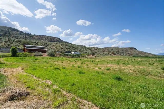 Large pasture
