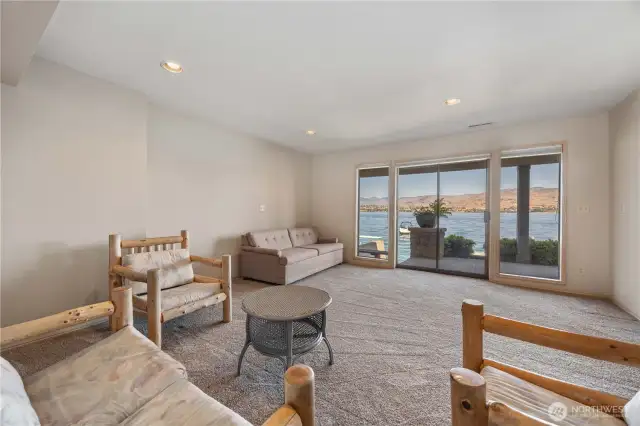 Lower Living Room
