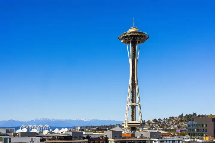 Space Needle views.