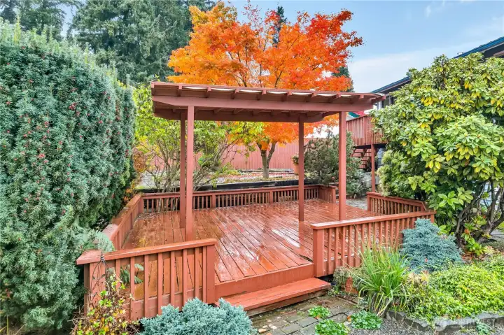 Backyard Gazebo and Deck