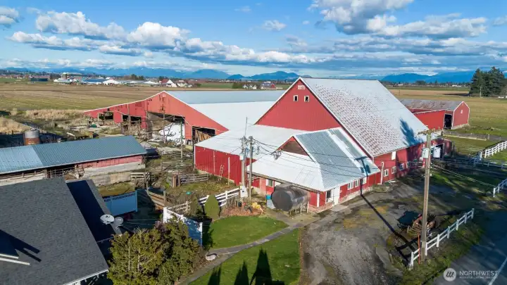This was a working dairy for many years. The infostructure is still in place for farming opportunity. This was a working dairy for many years. The infostructure is still in place for farming opportunity.