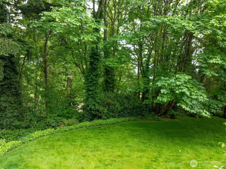 Clearing at the top with filtered lake views