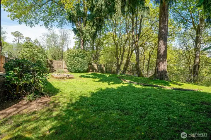 Incredible back yard