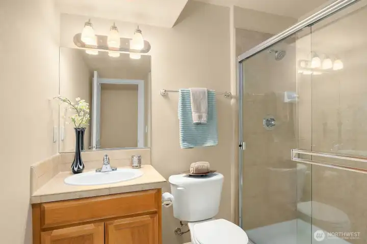 Lower level bathroom