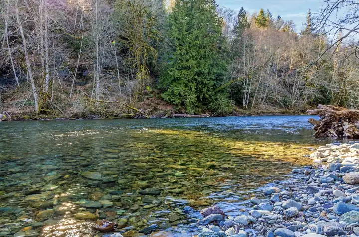 Explore the nearby Dosewallips River.